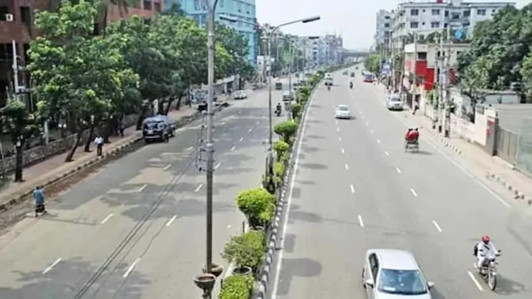 সড়কের ঘাস-গাছে কমবে তাপমাত্রা বাড়বে অক্সিজেন