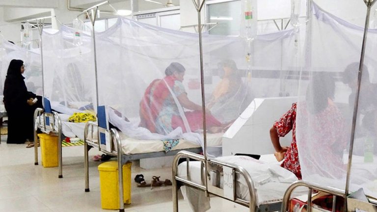 ডেঙ্গুতে আরও ২ জনের মৃত্যু, ২৪ ঘণ্টায় হাসপাতালে ভর্তি ৯৯৪